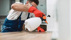 Professional Pest Control in Sawyerwood, OH